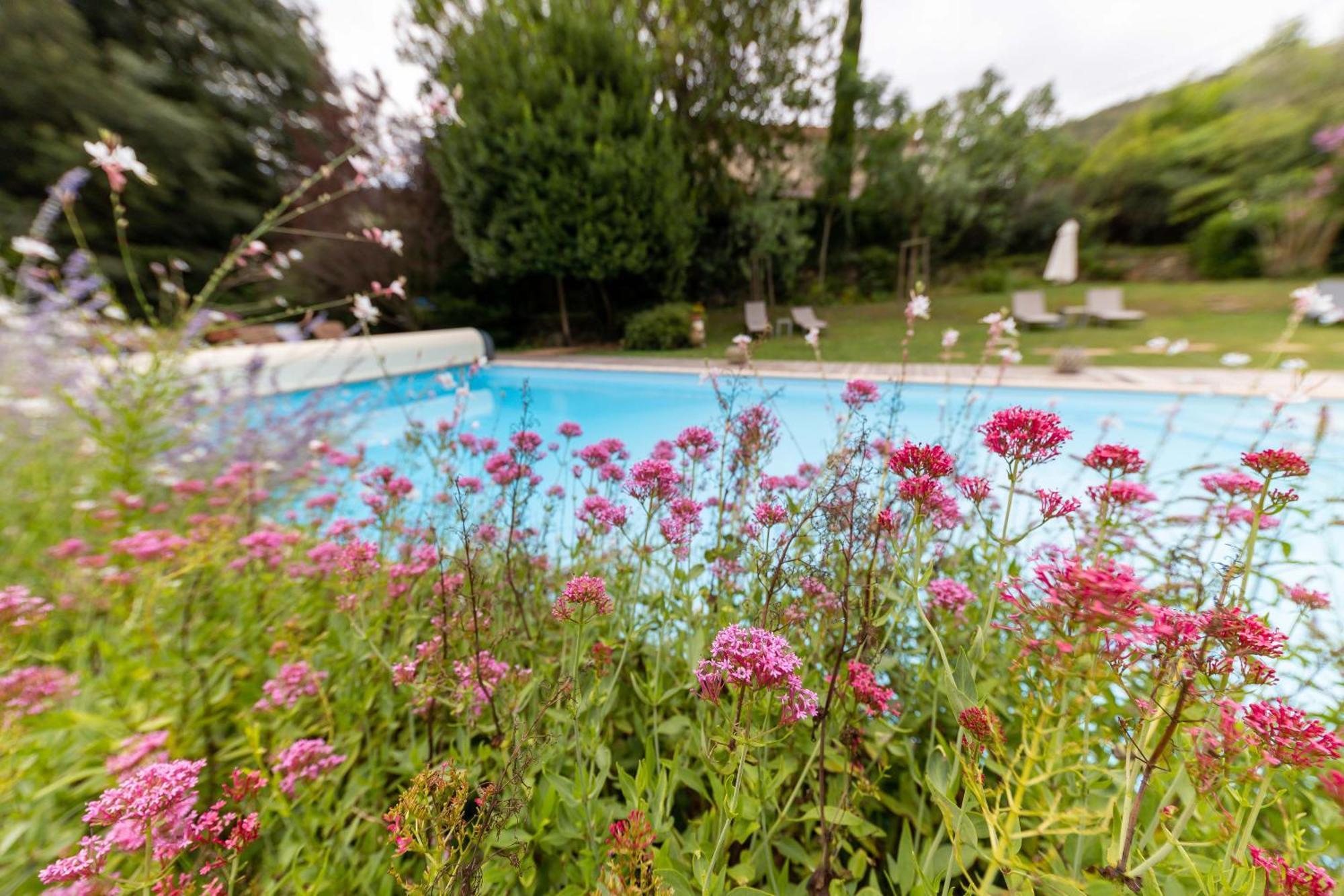 Hotel Le Mas Trilles Céret Eksteriør billede